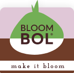 Fleur je tuin op met ranonkels van Bloombol.com