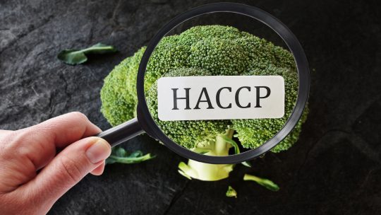 Verhoog je Veiligheid en Efficiëntie met HACCP Toepassingen in de Gasketelwet