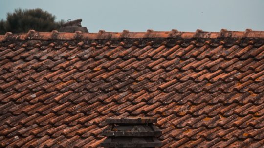 Ontdek de beste dakdekker in Brabant voor jouw Gelderse woning: een gids voor materiaalkeuze en onderhoud