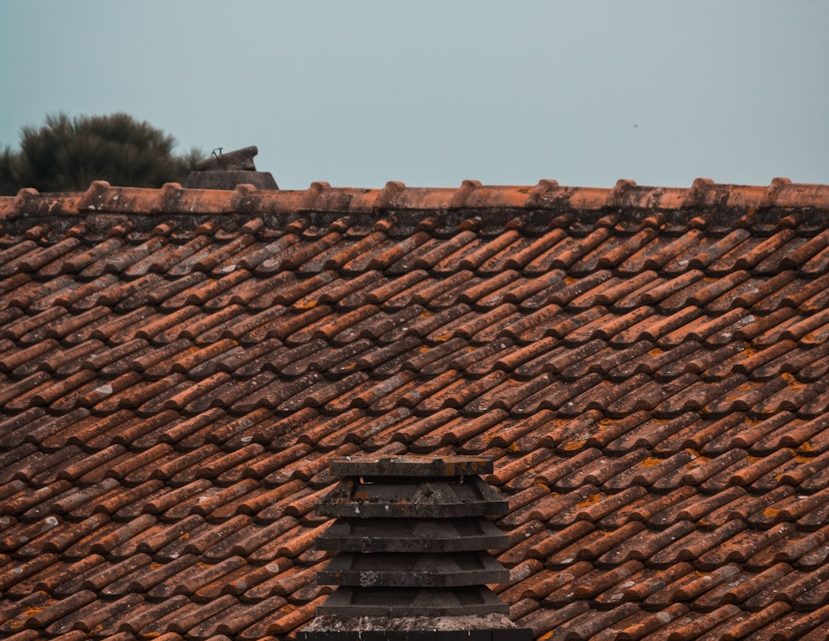 Ontdek de beste dakdekker in Brabant voor jouw Gelderse woning: een gids voor materiaalkeuze en onderhoud