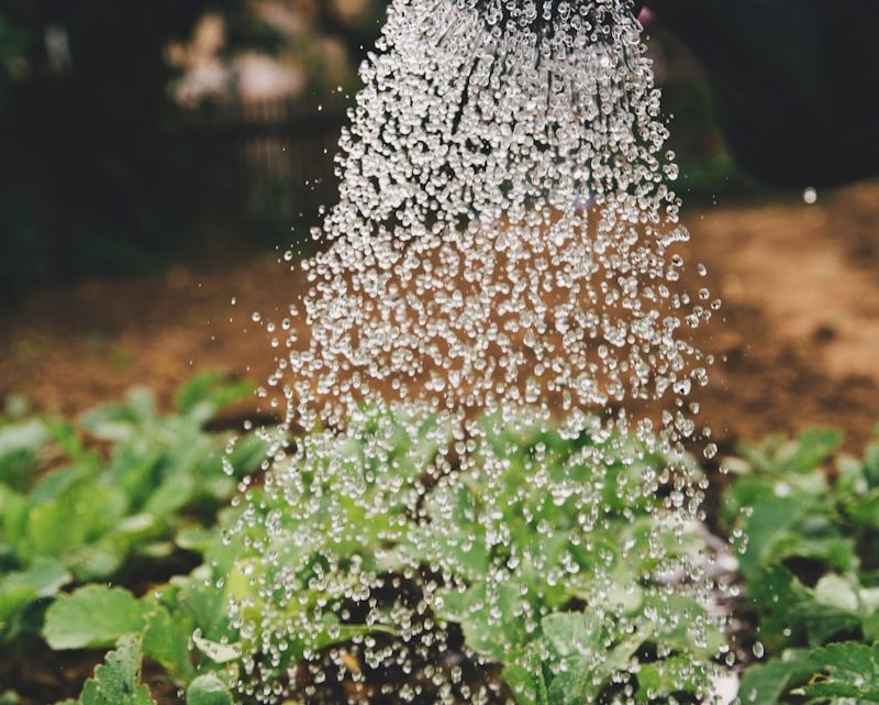 5 Redenen om een Professionele Tuinman voor je Tuin in Utrecht In te Schakelen