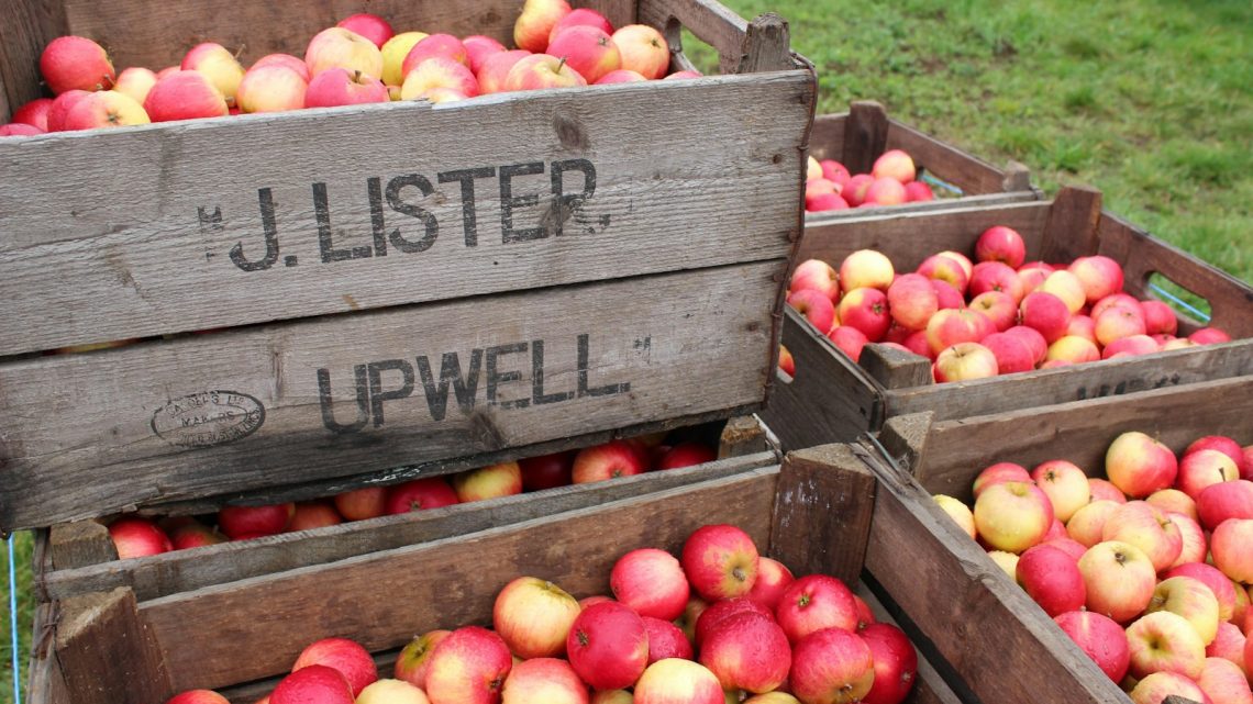 Fruitkisten voor slimme opslag en organisatie in huis