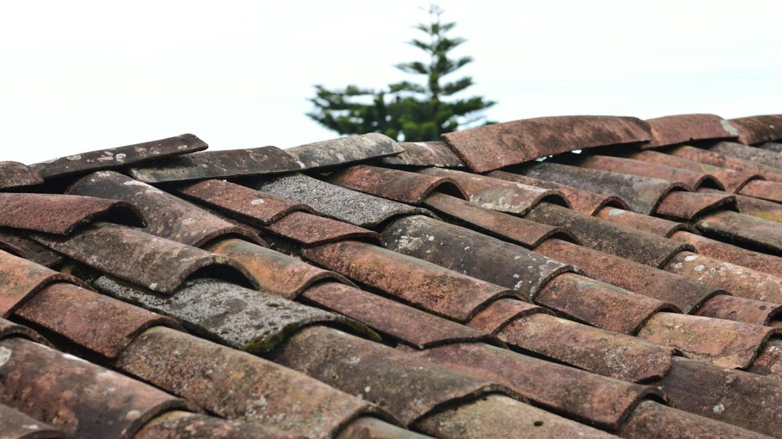 Effectieve oplossingen voor daklekkages in Utrecht en renovatietips in Gelderland