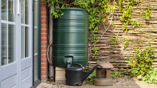 Regenton als slimme keuze voor tuin en milieu